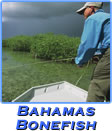 Bahamas Bonefish Expedition